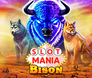 Slot Mania Bison